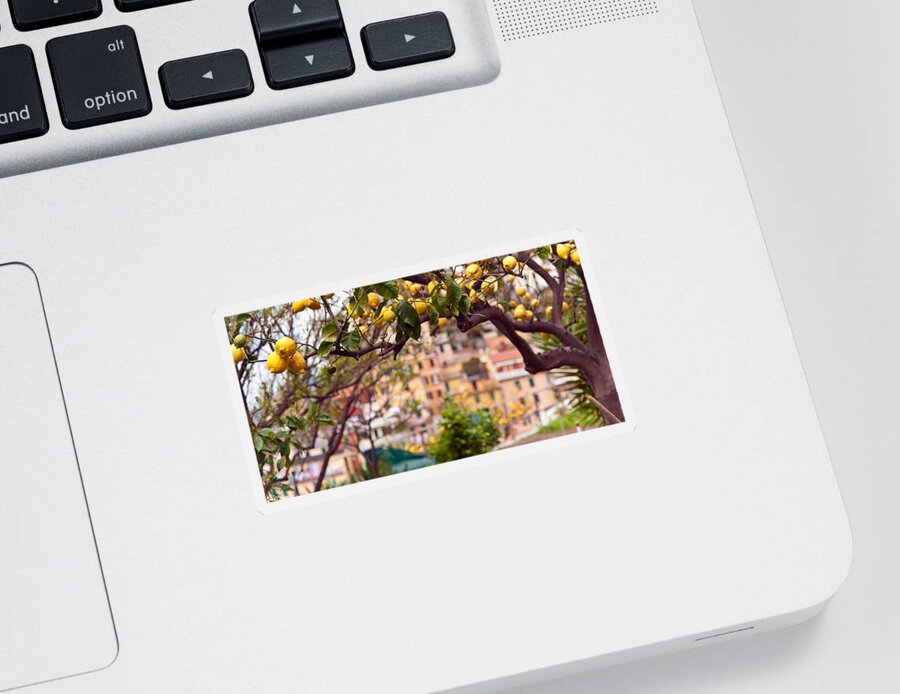 Riomaggiore Sticker featuring the photograph Italian Lemon Grove by Mike Reid