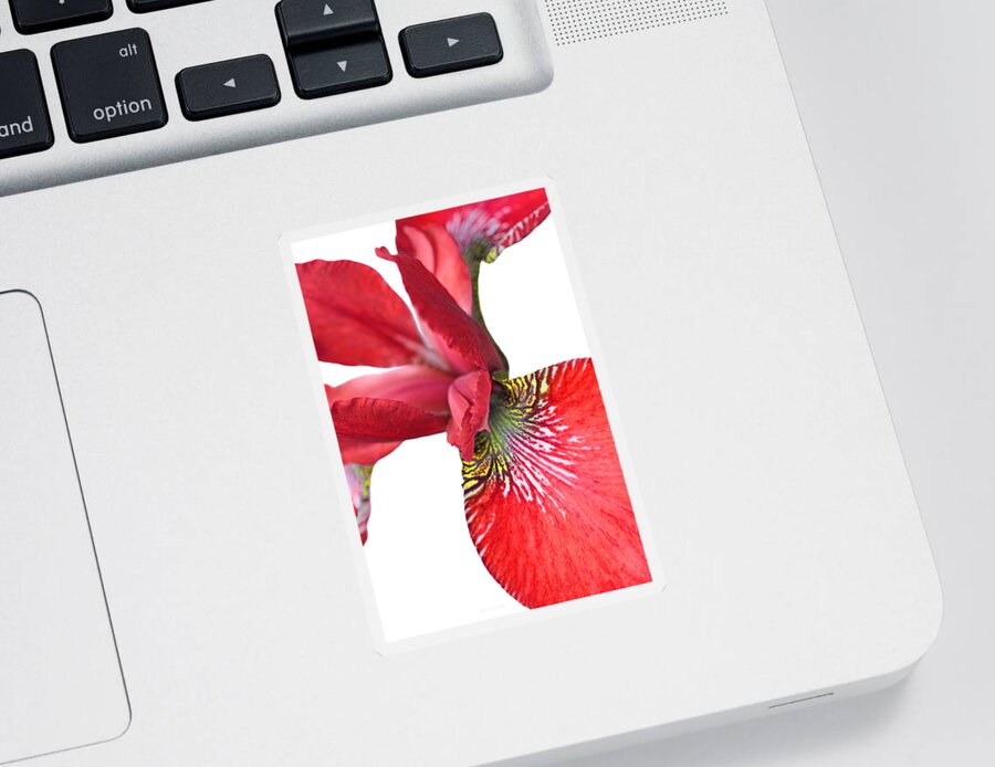 Iris Sticker featuring the photograph Japanese Iris Red White Two by Jennie Marie Schell