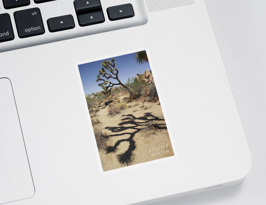 California Sticker featuring the photograph Joshua tree California by Micah May