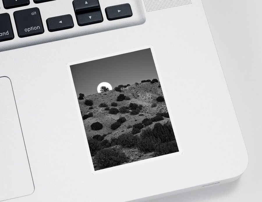 Juniper Sticker featuring the photograph Juniper at Moonrise by Mary Lee Dereske