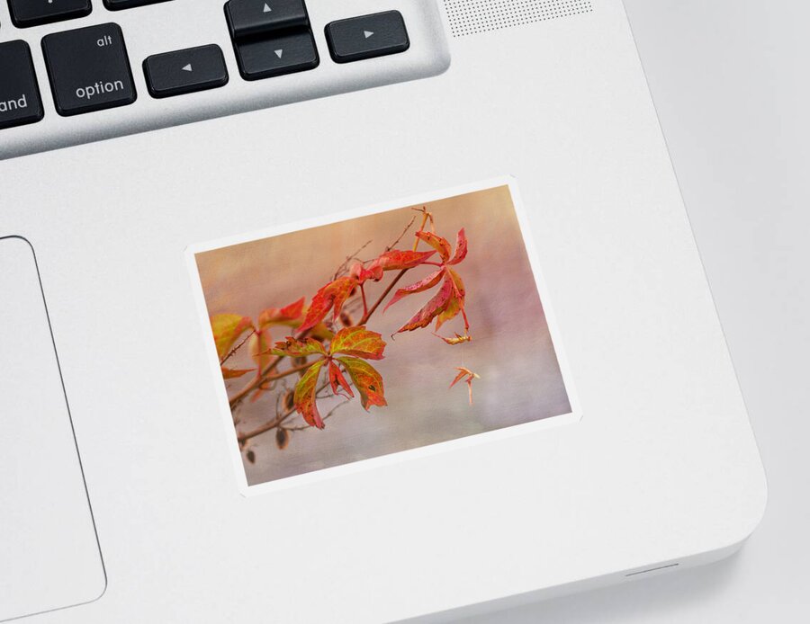 Autumn Leaves Sticker featuring the photograph Just Fall by Sue Capuano