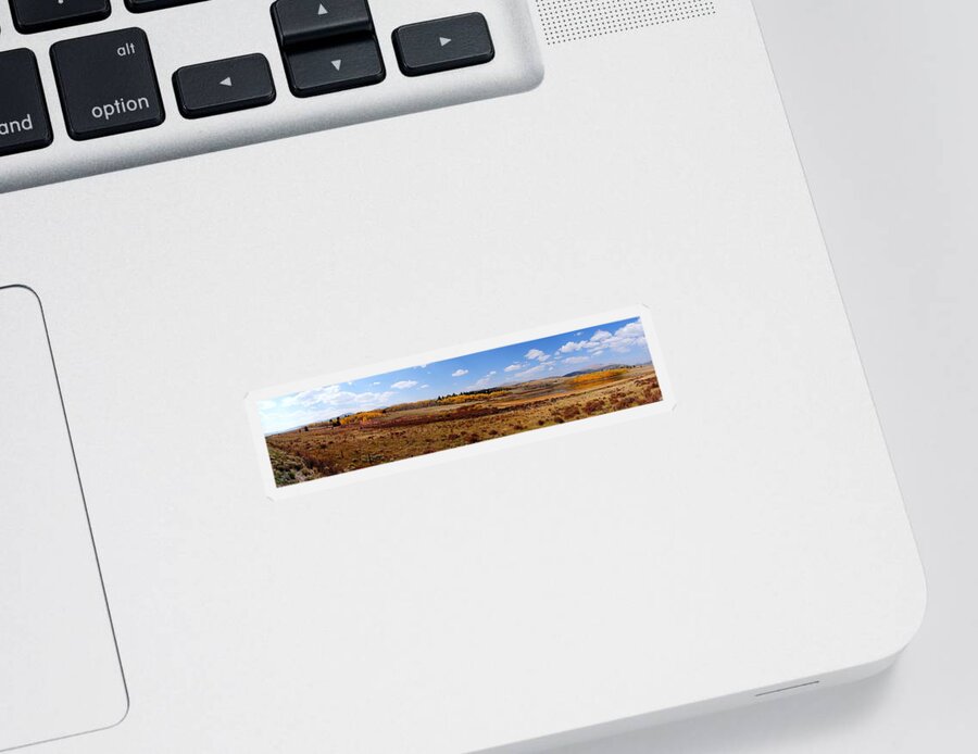 Panorama Sticker featuring the photograph Just North of Fairplay Colorado I by Lanita Williams