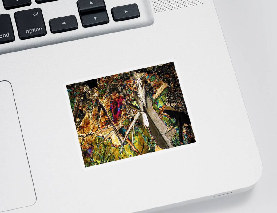 Meteorites Sticker featuring the photograph Jungle Dusk by Hodges Jeffery