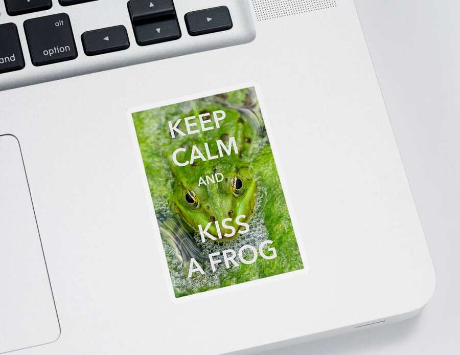 Keep Calm Sticker featuring the photograph Keep calm and kiss a frog funny quote by Matthias Hauser