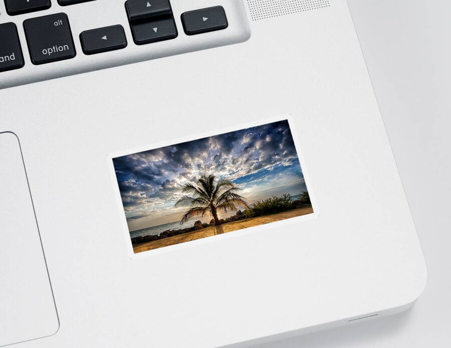 Key West Sticker featuring the photograph Key West Florida Lone Palm Tree by Robert Bellomy