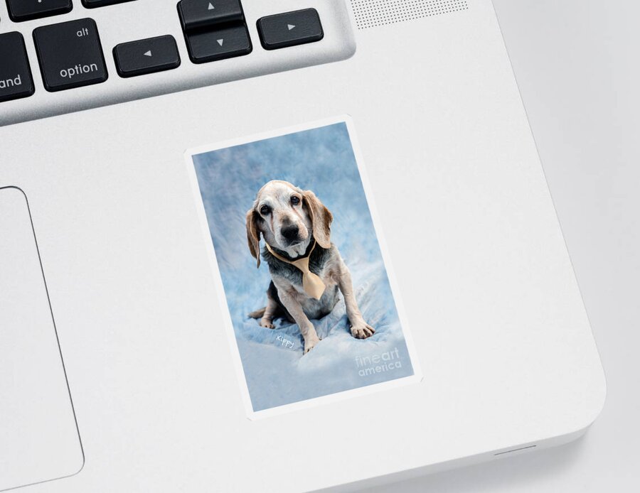 Beagel Sticker featuring the photograph Kippy Beagle Senior and Best Dog Ever by Iris Richardson