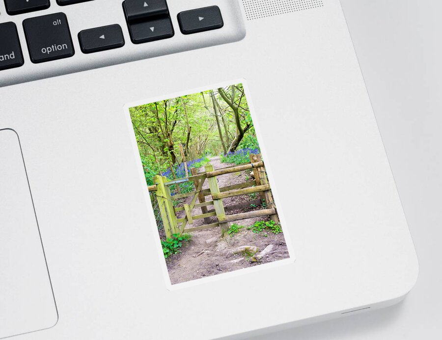 Bluebell Sticker featuring the photograph Kissing Gate by Roy Pedersen