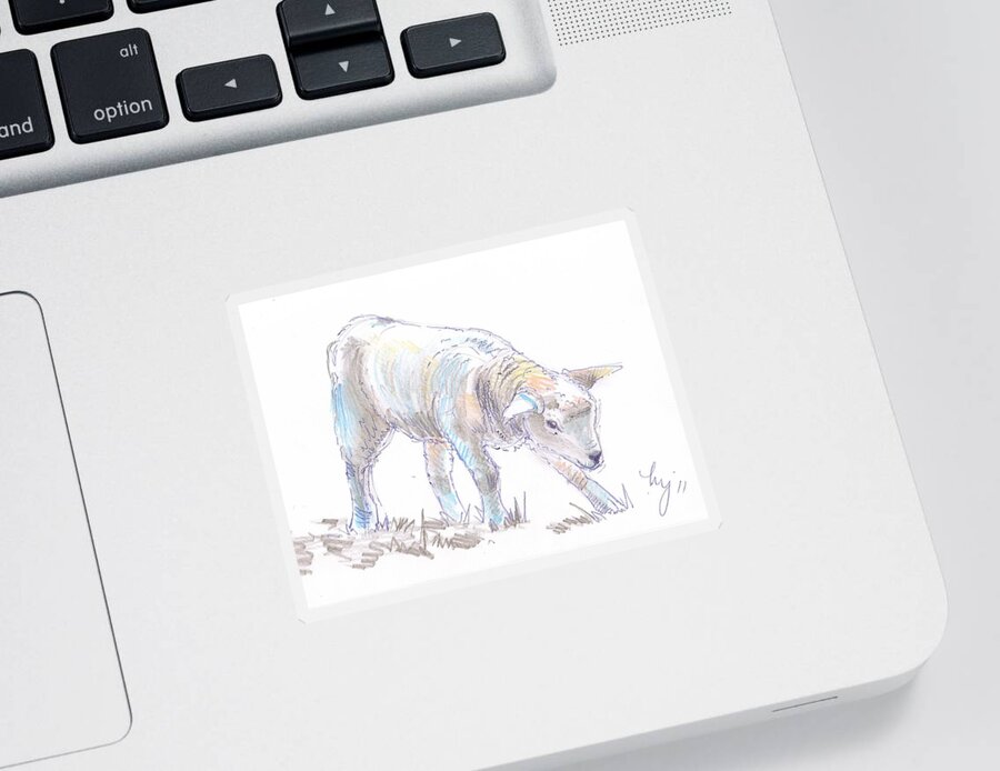 Lamb Sticker featuring the drawing Lamb Sketch by Mike Jory
