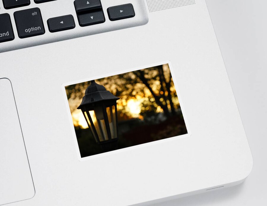 Lamp Sticker featuring the photograph Lamplight by Photographic Arts And Design Studio