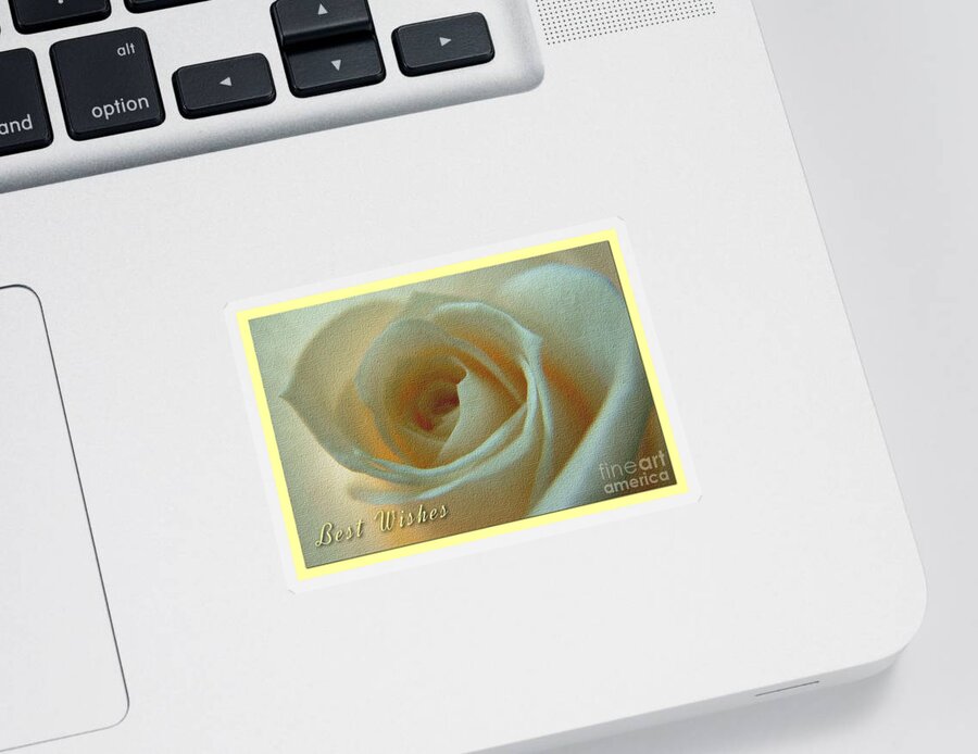 Ivory Roses Sticker featuring the photograph Large Ivory Rose Greeting by Joan-Violet Stretch
