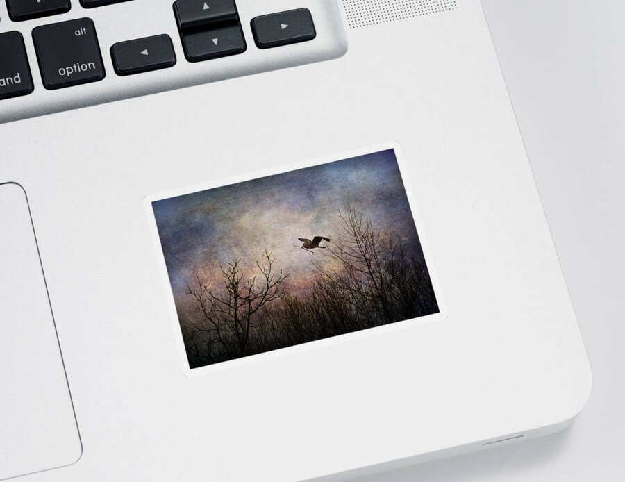 Bird Sticker featuring the photograph Last Delivery Of The Day by Dale Kincaid