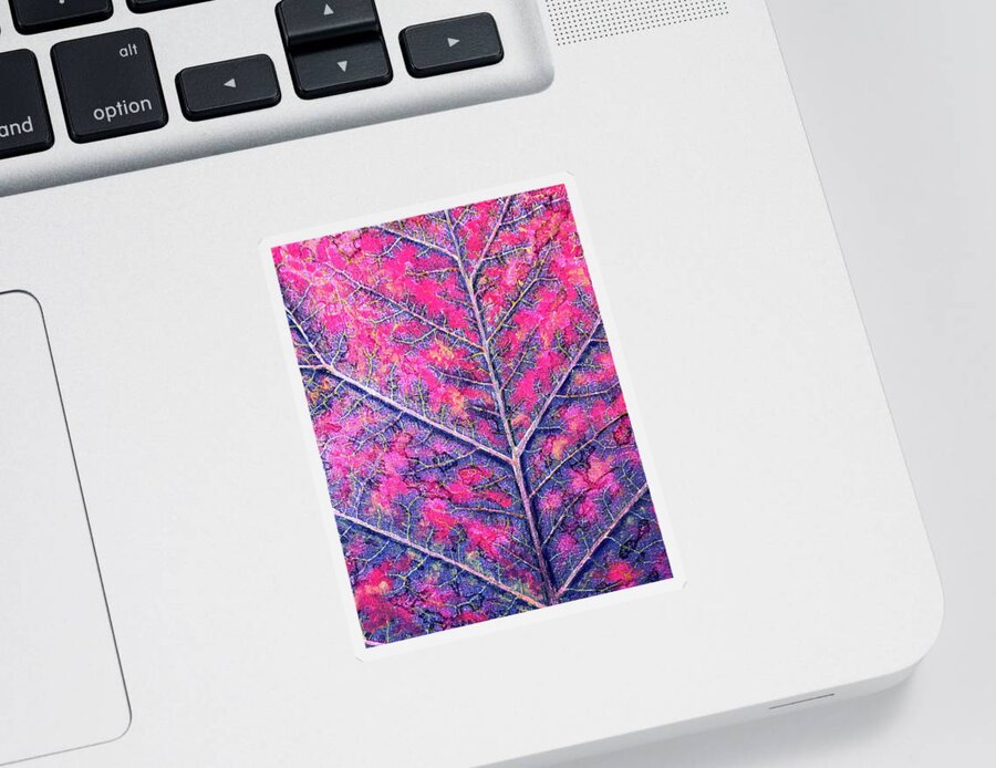 Fall Leaf Sticker featuring the painting Leafs Last Breath by Cara Frafjord
