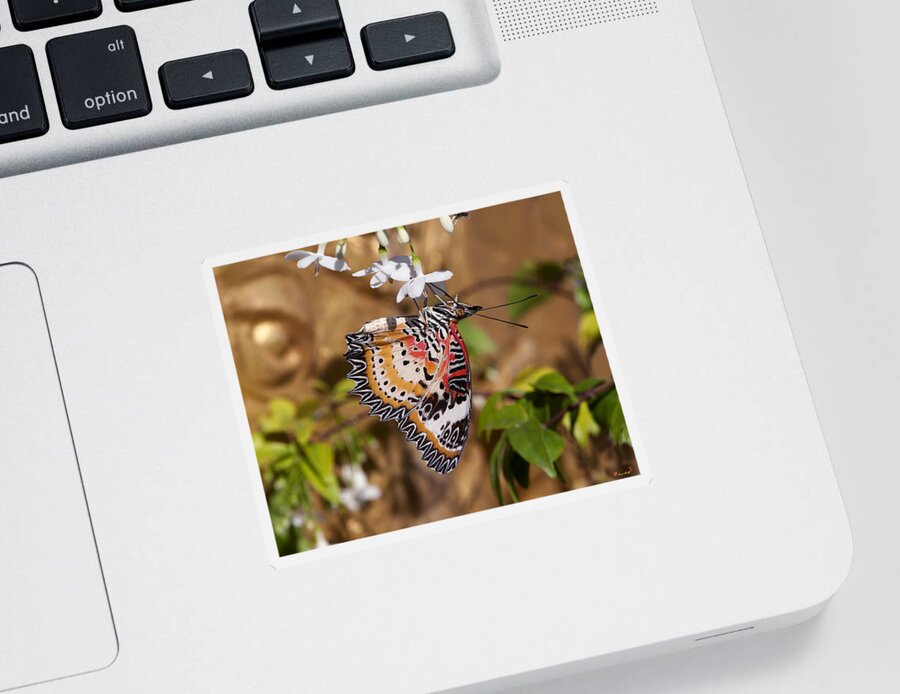 Scenic Sticker featuring the photograph Leopard Lacewing Butterfly DTHU619 by Gerry Gantt