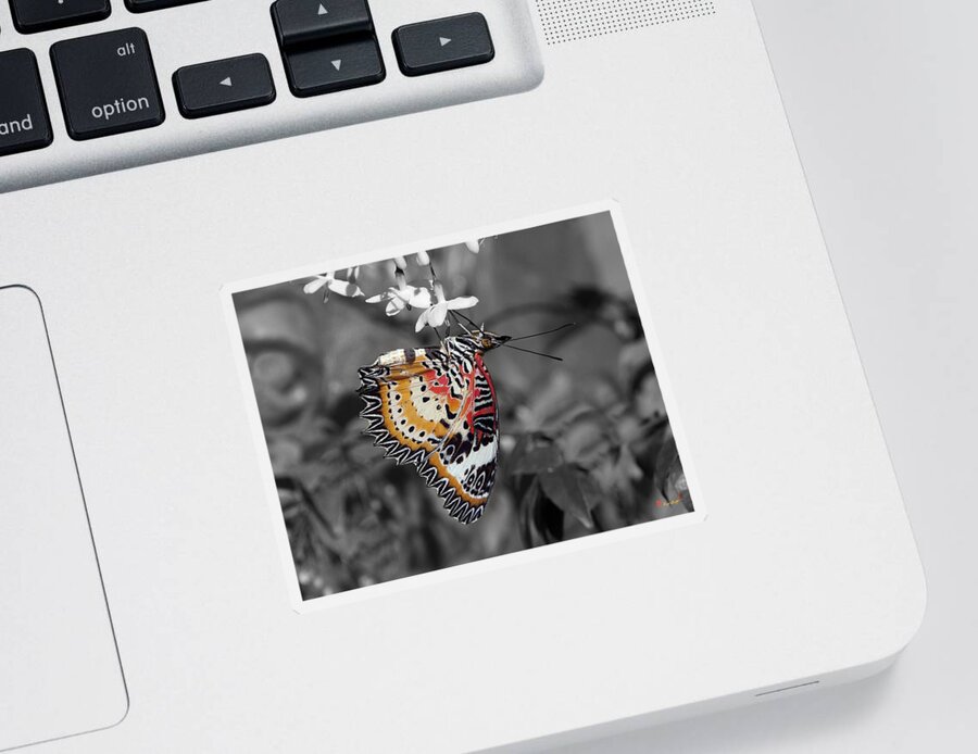 Scenic Sticker featuring the photograph Leopard Lacewing Butterfly DTHU619BW by Gerry Gantt