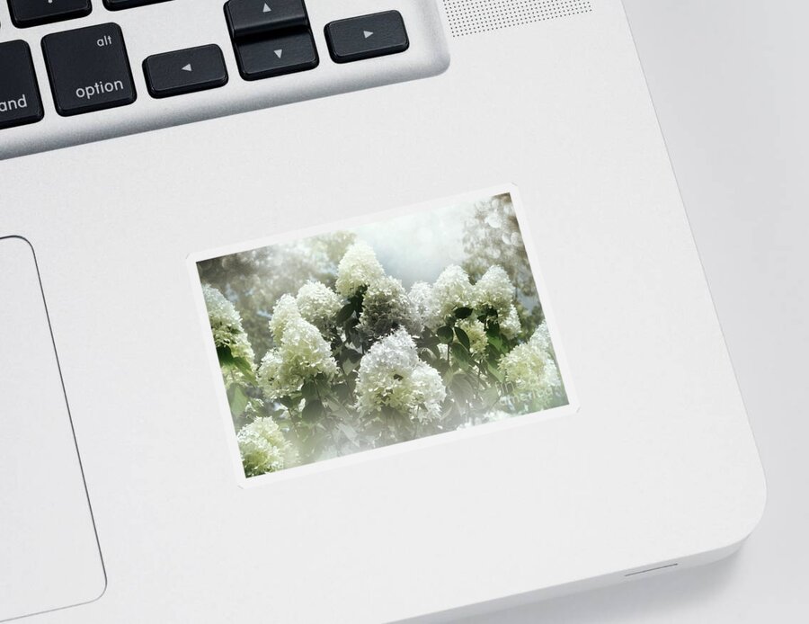 Flowers Sticker featuring the photograph Lilac Cloud by Elaine Manley