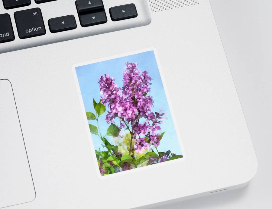 Lilacs Sticker featuring the photograph Lilacs Against the Sky by Susan Savad