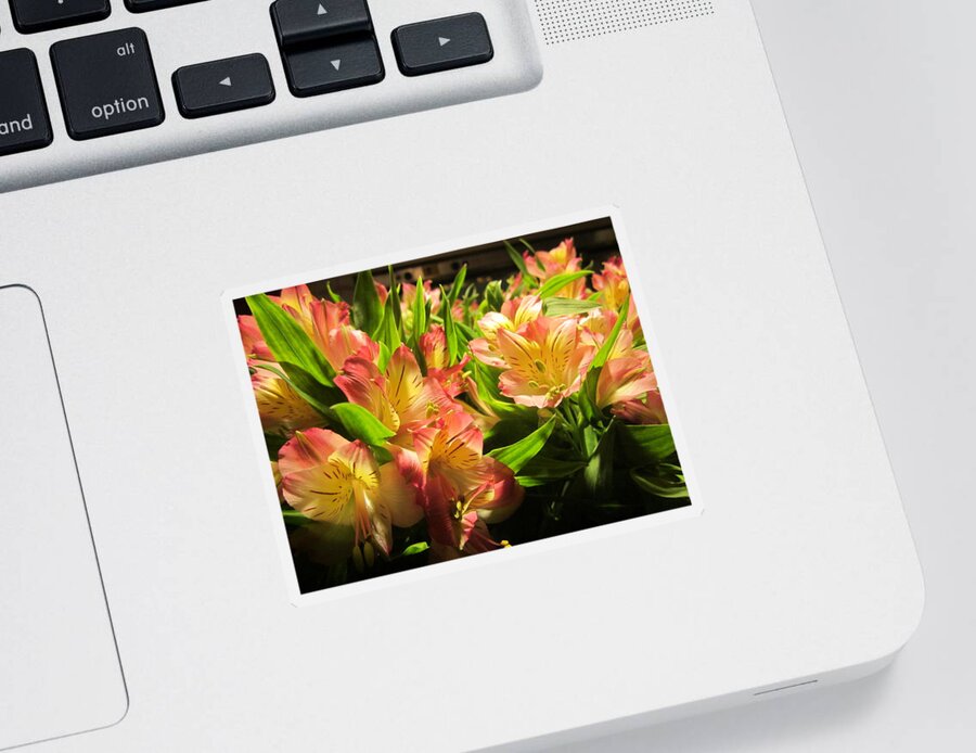 Lilies Sticker featuring the photograph Lilies by Rosita Larsson
