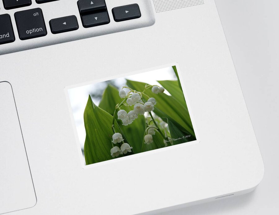 Flowers Sticker featuring the photograph Lily of the Valley by Steven Clipperton