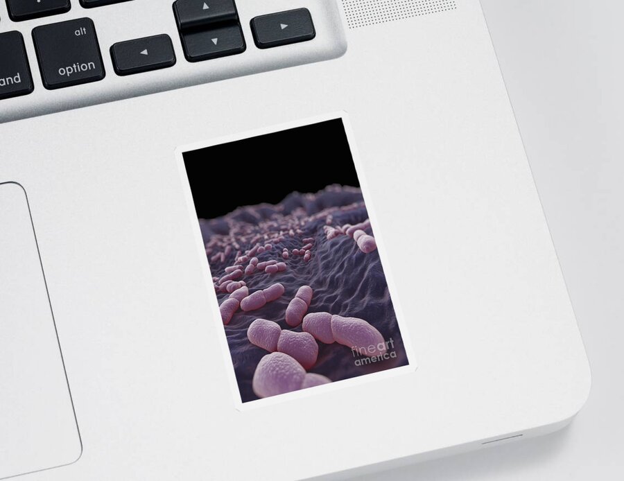 Gram-positive Sticker featuring the photograph Listeria Bacteria by Science Picture Co