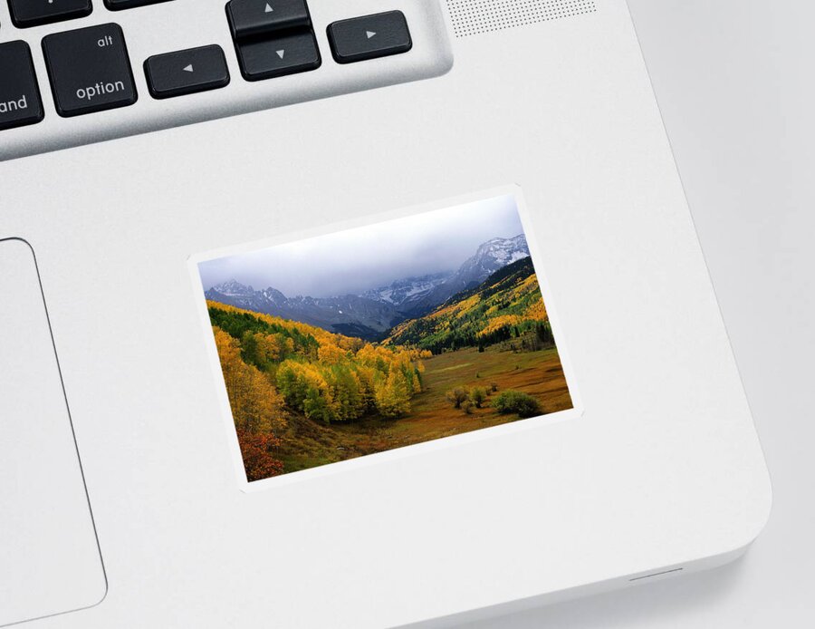 Colorado Sticker featuring the photograph Little Meadow of the Sublime by Eric Glaser