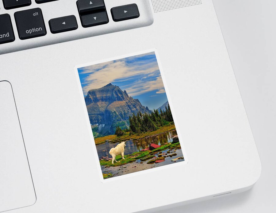 Glacier National Park Sticker featuring the photograph Logan Pass in Glacier National Park by Greg Norrell