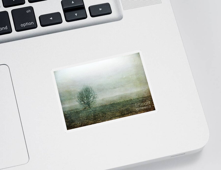 Tree Sticker featuring the photograph Lone Tree by Randi Grace Nilsberg