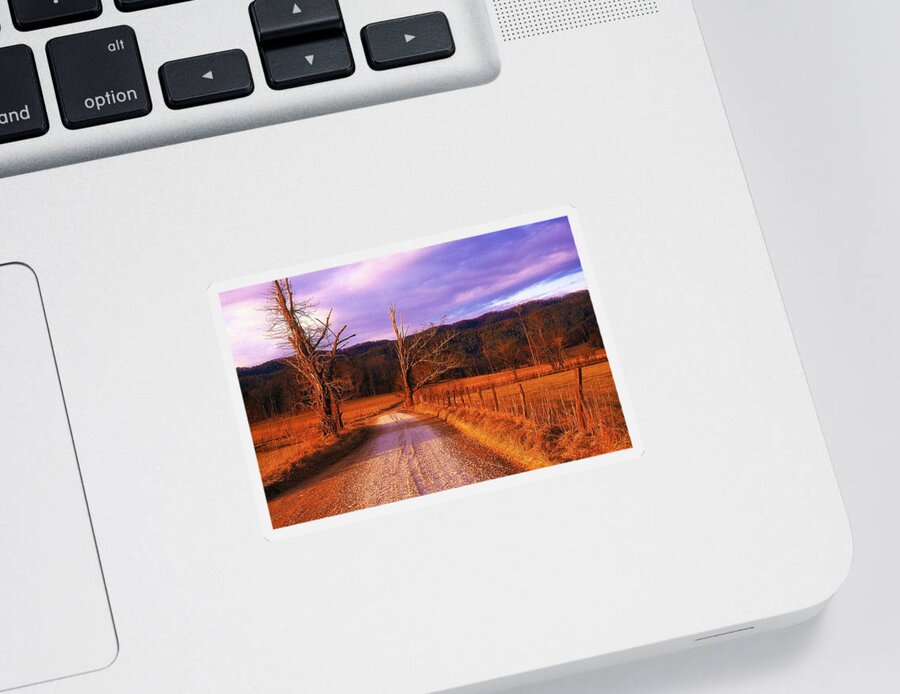 Fine Art Sticker featuring the photograph Lonely Road by Rodney Lee Williams