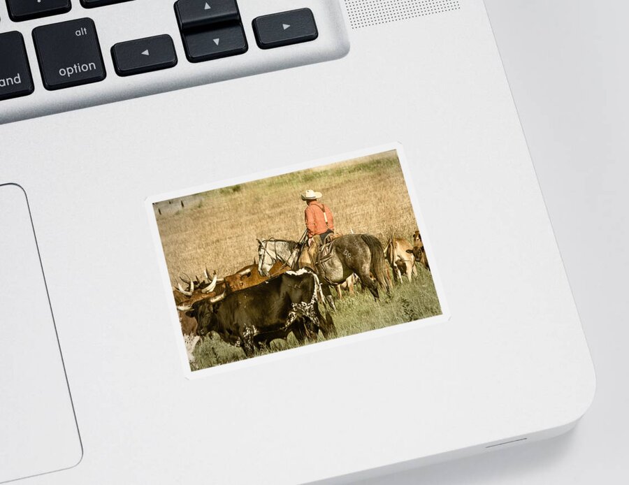 Horse Sticker featuring the photograph Longhorn Round Up by Steven Bateson