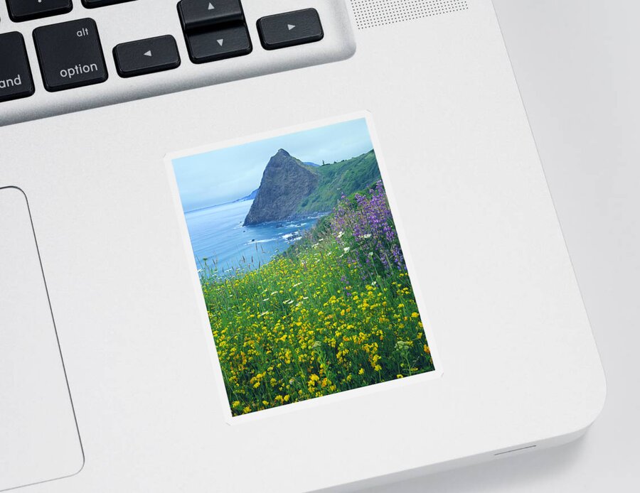 Lookout Rock Sticker featuring the photograph 1A5480-Lookout Rock Wildflowers by Ed Cooper Photography