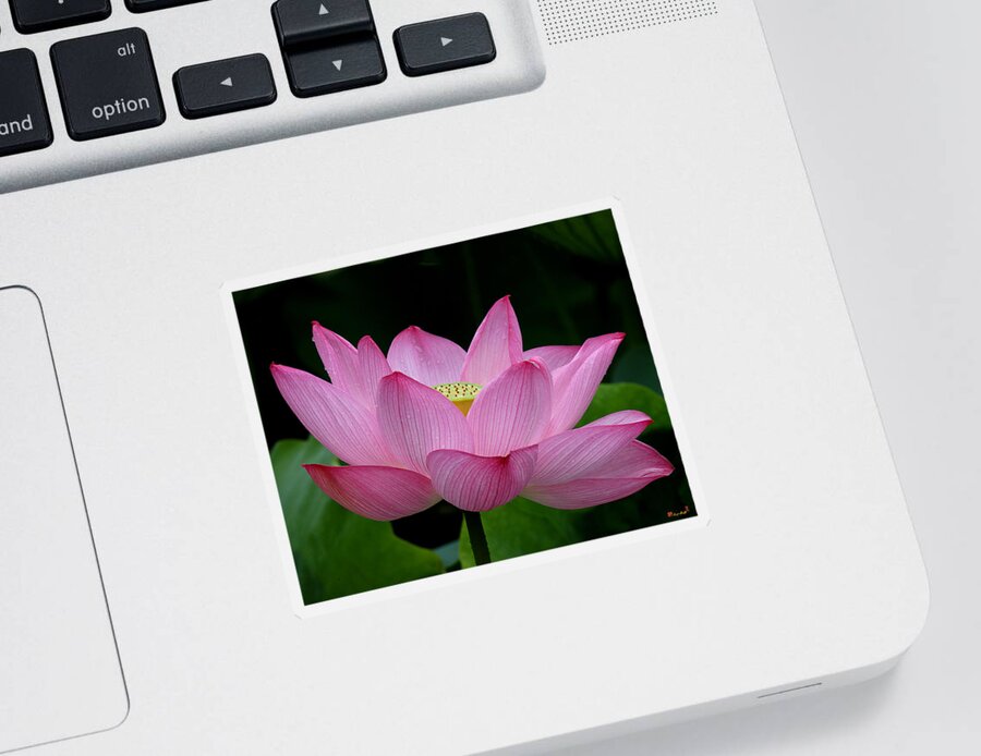 Nature Sticker featuring the photograph Lotus-Center of Being iii DL033 by Gerry Gantt
