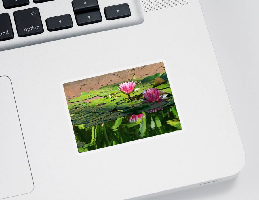 California Sticker featuring the photograph Lotus Flower Reflections by Beth Sargent