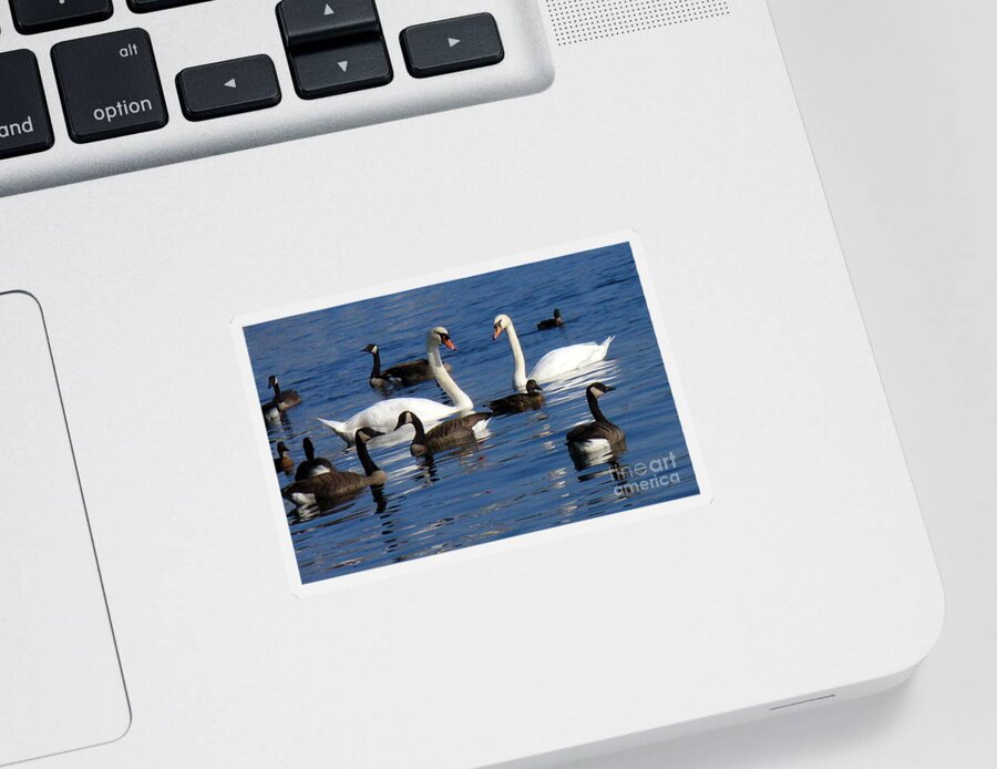 Avian Bird Sticker featuring the photograph Love Is In The Air by Lingfai Leung