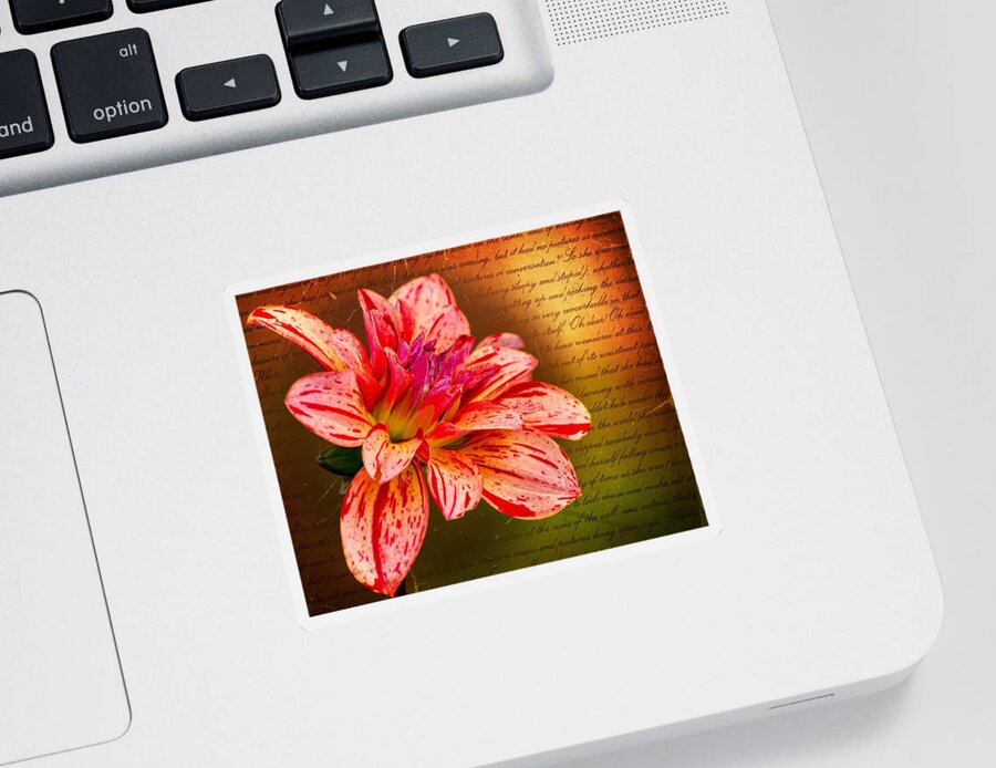 Flower Sticker featuring the photograph Love Letter To Dahlia by Jordan Blackstone