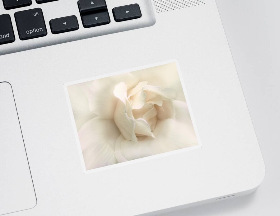 Rose Sticker featuring the photograph Luminous Ivory Rose Flower by Jennie Marie Schell