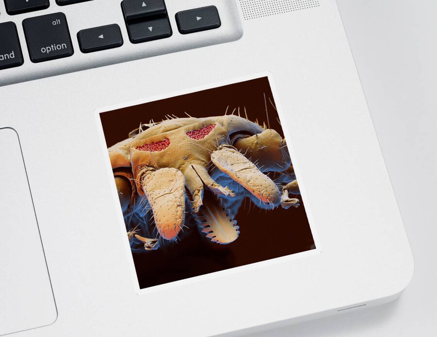 Insect Sticker featuring the photograph Lyme Disease Tick Mouthparts by Eye of Science