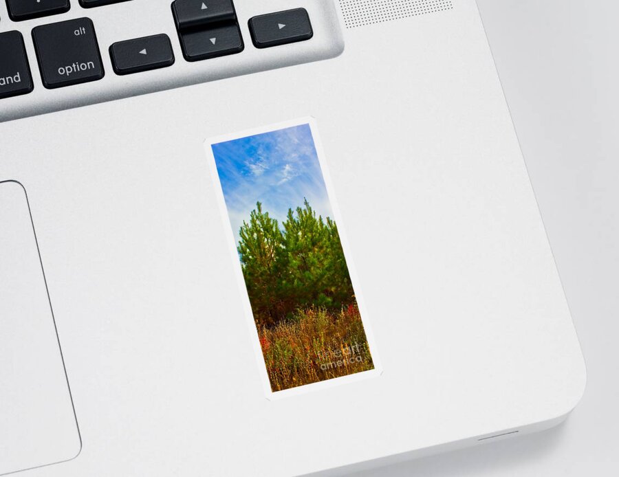 Michael Tidwell Photography Sticker featuring the photograph Magical Pines by Michael Tidwell