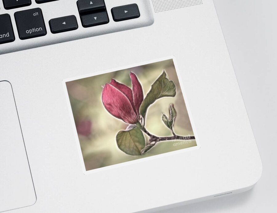 Magnolia Sticker featuring the photograph Magnolia Glow by Susan Candelario