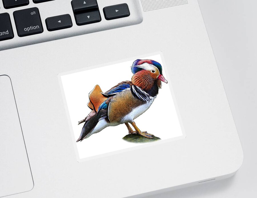 Nature Sticker featuring the photograph Mandarin Duck by Roger Hall