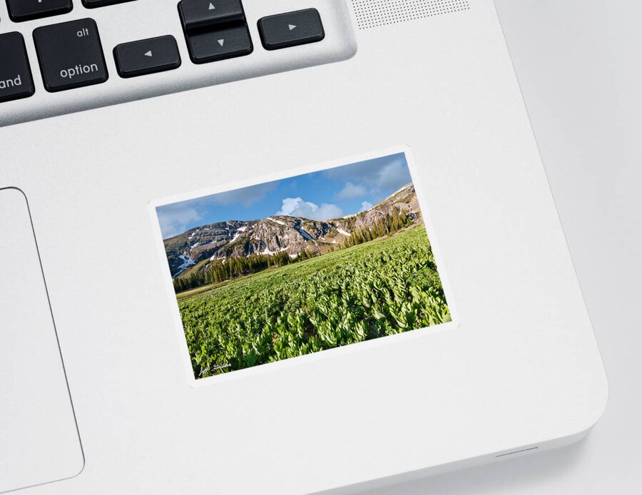 Beauty In Nature Sticker featuring the photograph Meadow of False Hellebore at Ice Lakes Basin by Jeff Goulden