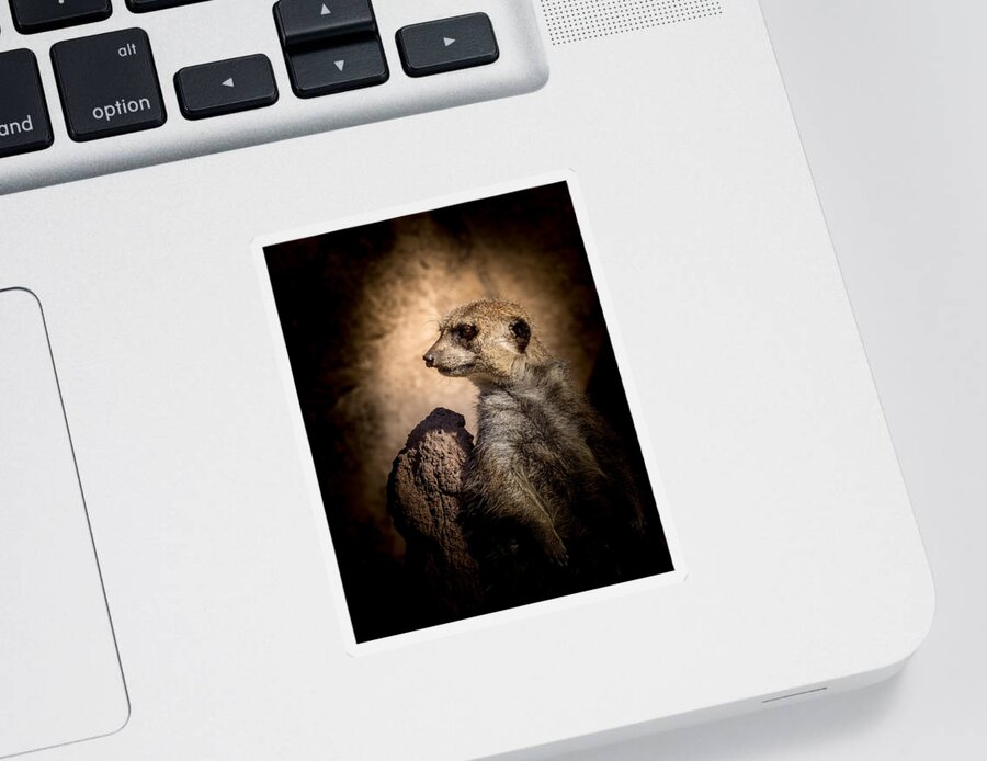 Meerkat Sticker featuring the photograph Meerkat 12 by Ernest Echols