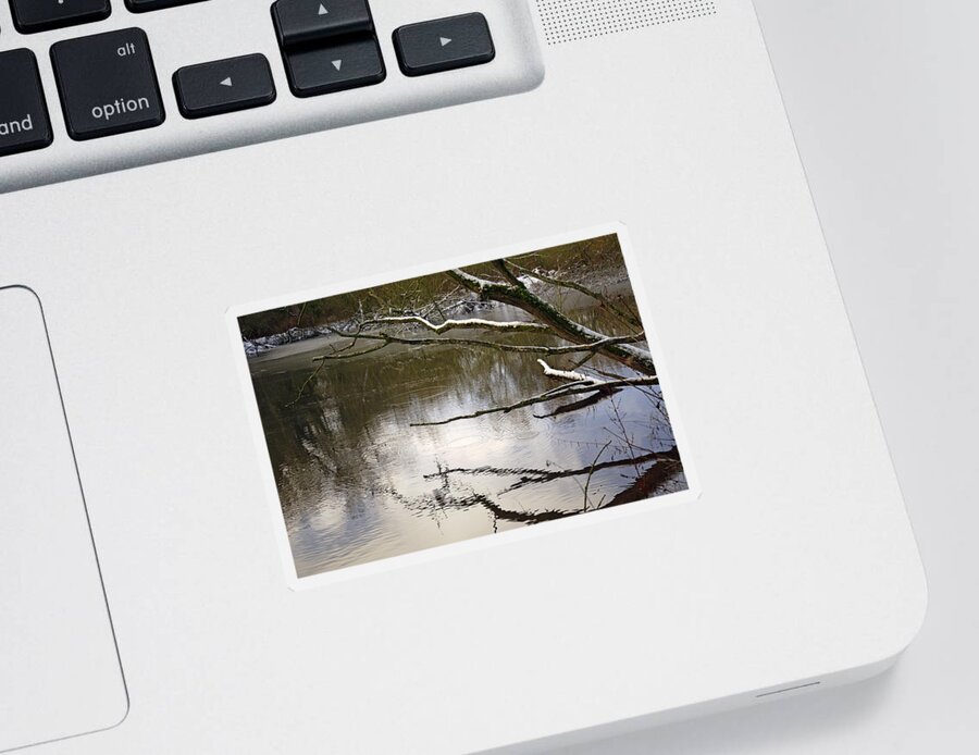 Nature Sticker featuring the photograph Melting Snow On Branches Over Rolleston Pond by Rod Johnson