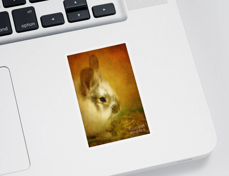 Rabbit Sticker featuring the photograph Memories of Watership Down by Lois Bryan