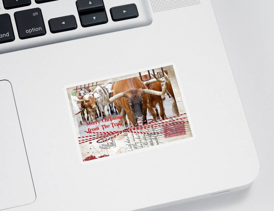 Christmas Sticker featuring the photograph Merry Christmas from The Trail by Toni Hopper