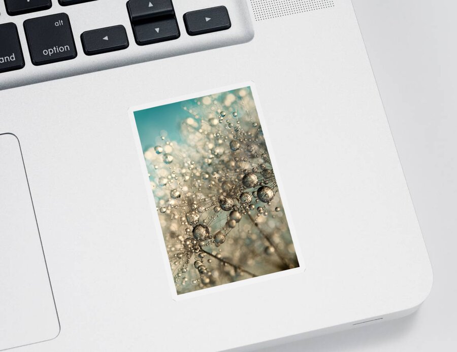 Dandelion Sticker featuring the photograph Metal Blue Dandy Sparkle by Sharon Johnstone