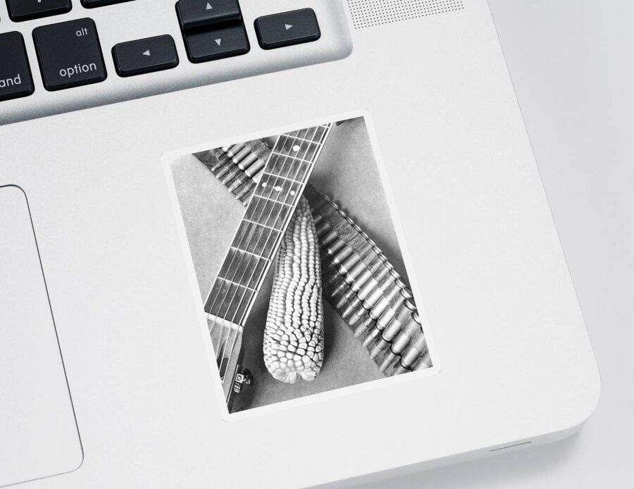Photography Sticker featuring the photograph Mexican Revolution, Guitar, Corn by Tina Modotti