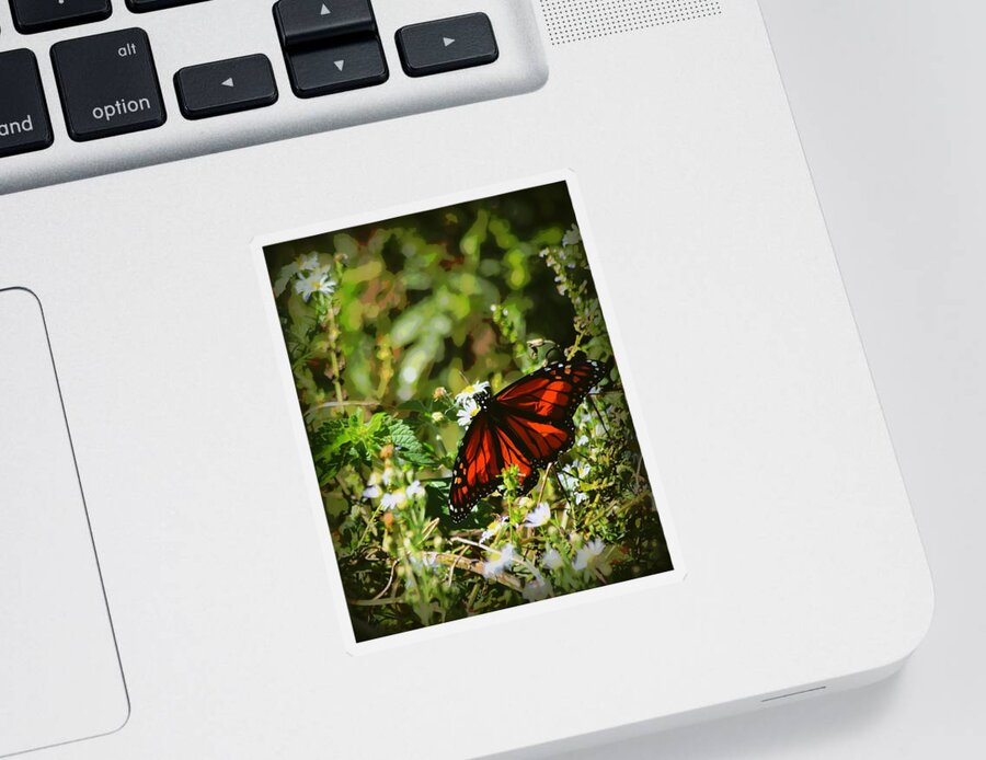 Monarch Butterfly Sticker featuring the photograph Monarch in November 1 by Sheri McLeroy