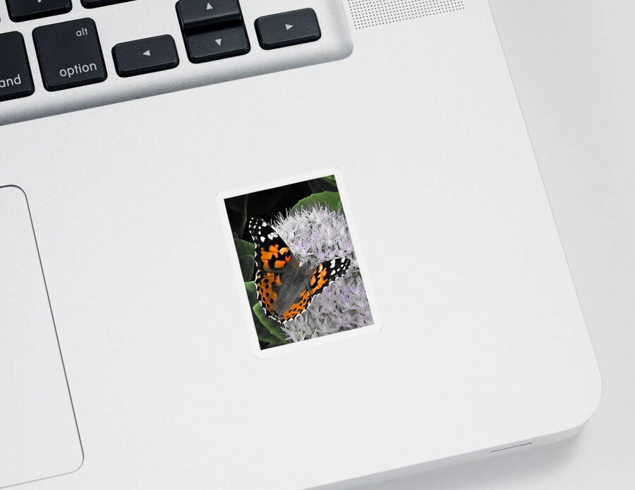 Monarch Sticker featuring the photograph Monarch by Photographic Arts And Design Studio