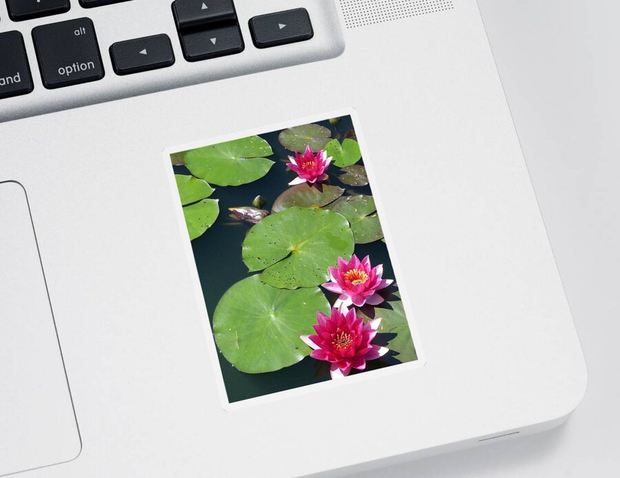 Flower Sticker featuring the photograph Monet's Waterlilies III by Marguerita Tan