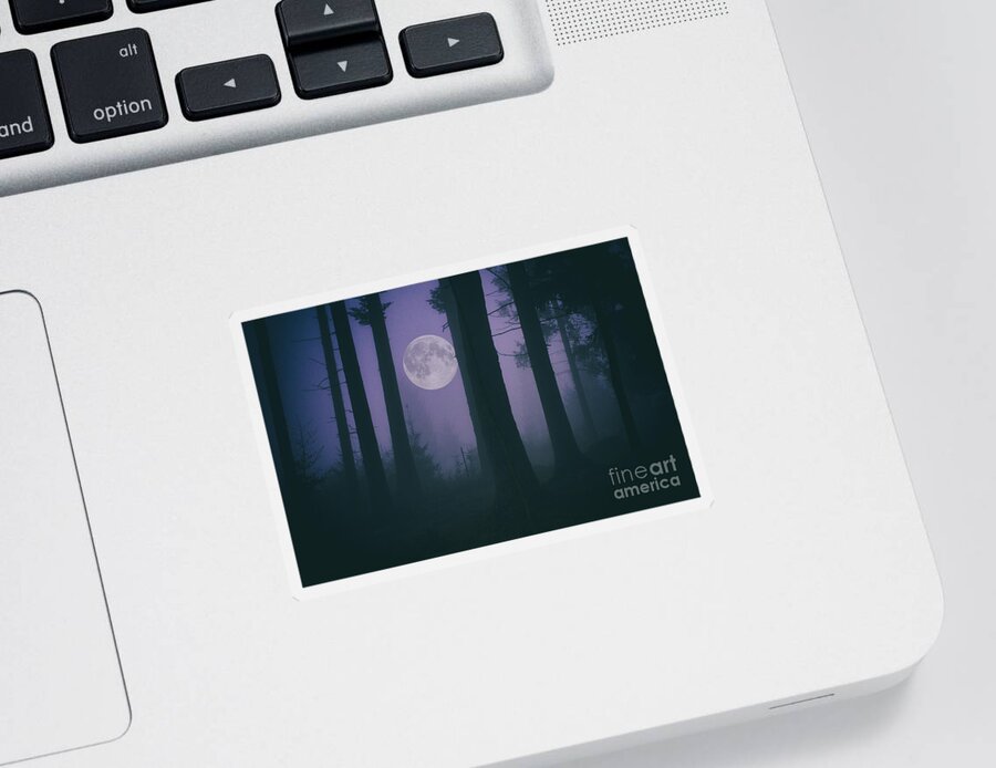 Landscape Sticker featuring the photograph Moon and Fog in a Forest by Sabine Jacobs