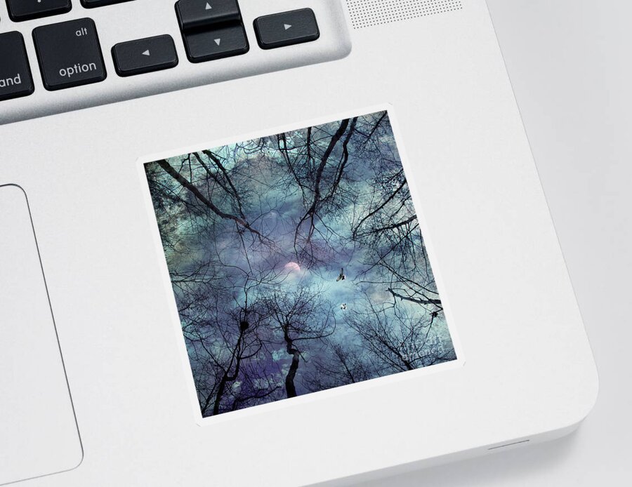 Abstract Sticker featuring the photograph Moonlight by Stelios Kleanthous